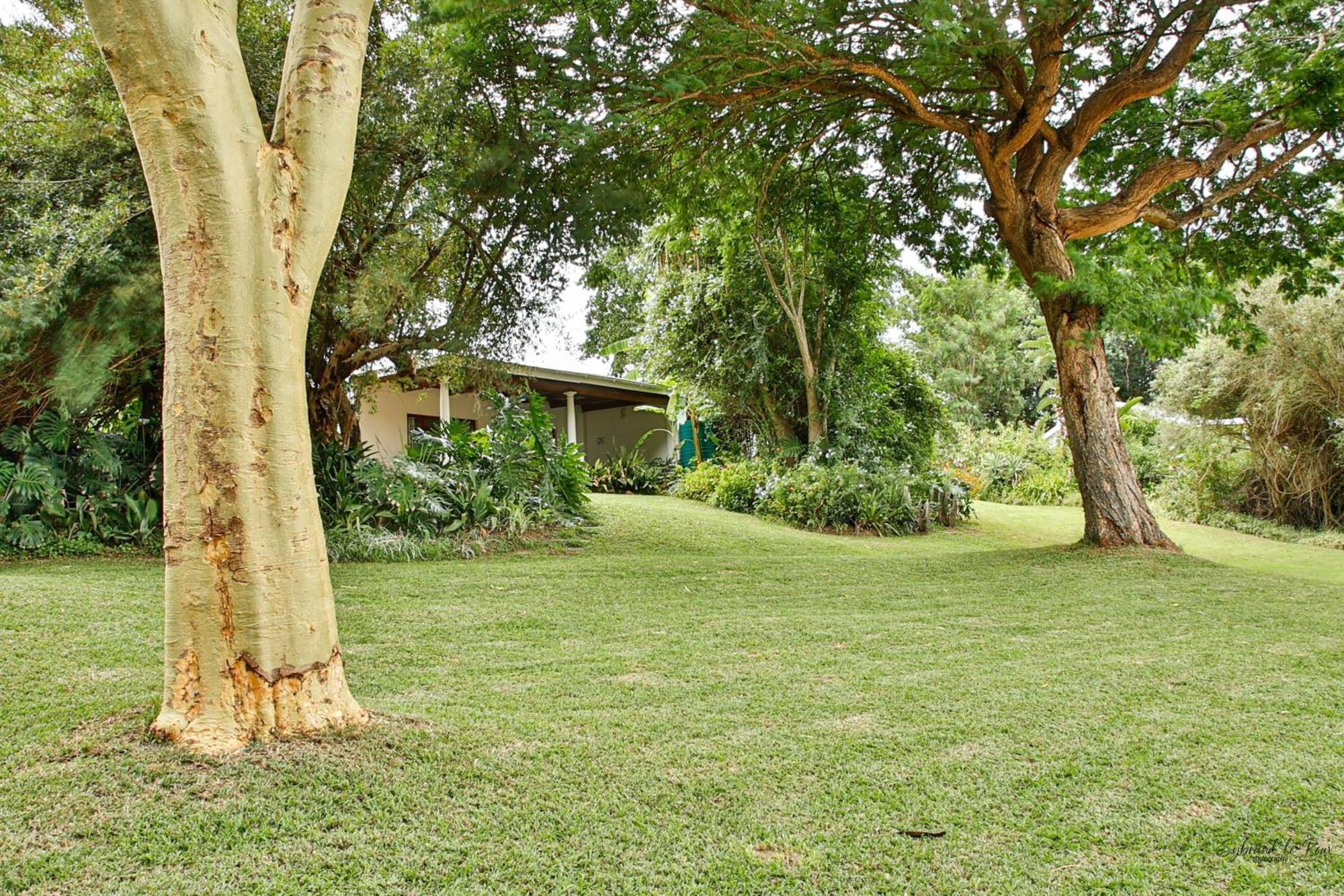 Ndlovu Addo River Lodge Kirkwood Exteriér fotografie